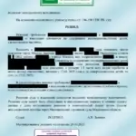 Решение 2 - Камынин Илья Юрьевич