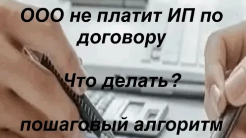 ООО не платит ИП по договору? Пошаговый алгоритм действий⬇️