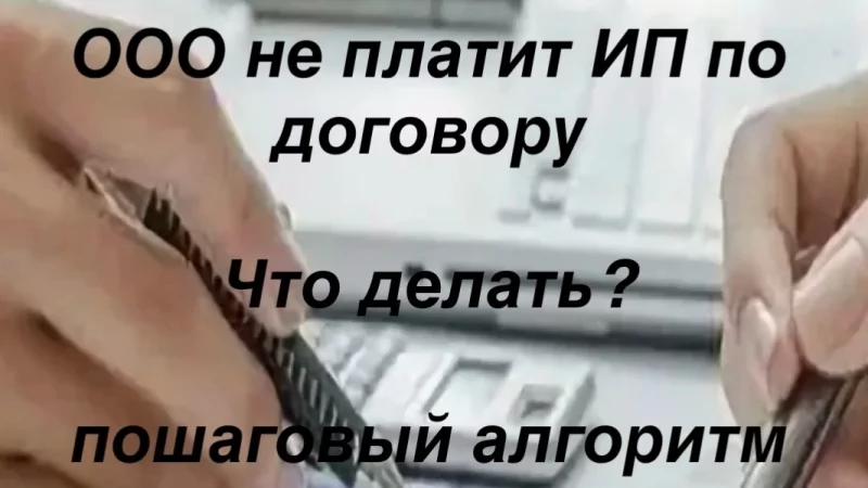 Адвокат Ильина Любовь Михайловна объясняет: ООО не платит ИП по договору? Пошаговый алгоритм действий⬇️