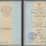 Диплом - Зайцев Владислав Геннадьевич