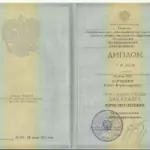 Диплом бакалавр - Касимова Елена Владимировна