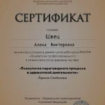 Сертификат 2 - Швец Алена Викторовна