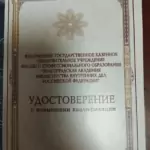Удостоверение - Салмин Денис Васильевич