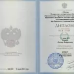 диплом - Сопин Денис Федорович
