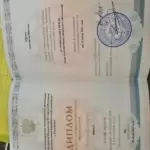 Диплом - Марина Анастасия Юрьевна