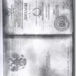 Диплом - Новикова Наталья Николаевна