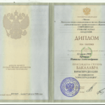 Диплом - Прошко Наталья Александровна
