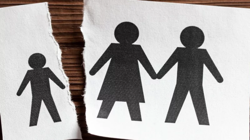 Адвокат Варданян Джулиетта Алексановна объясняет: Лишение родительских прав: основания, последствия и особенности процедуры.