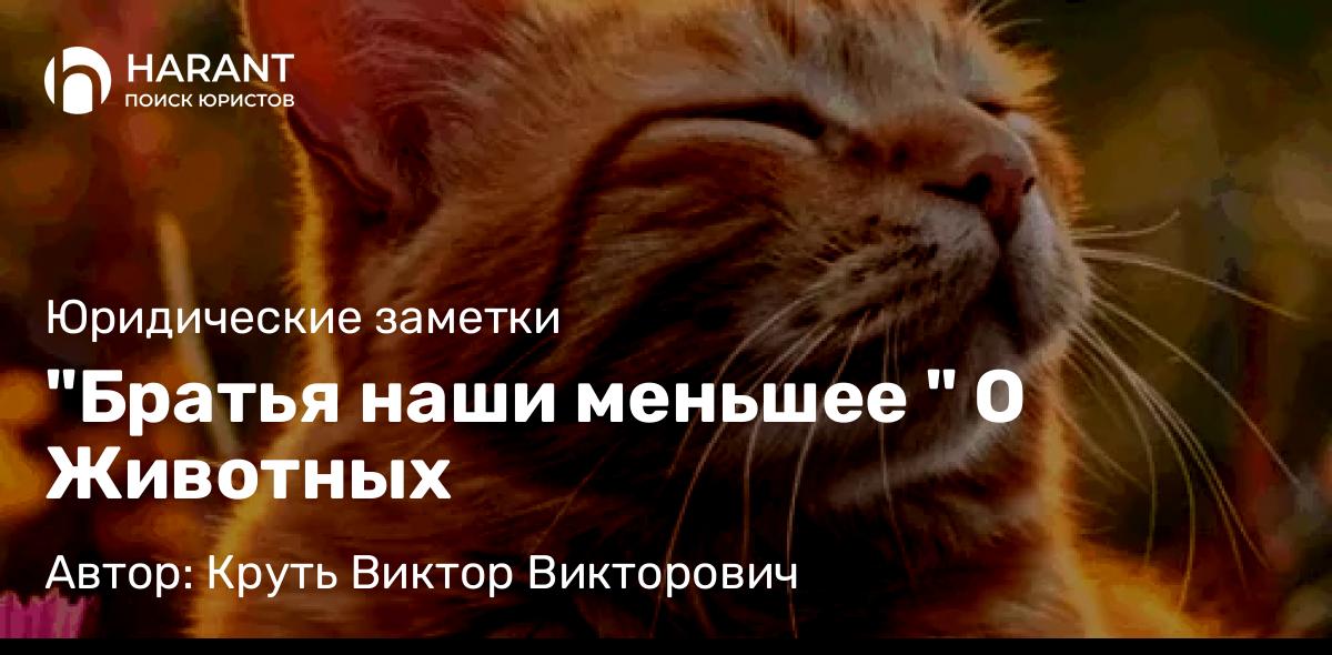 Адвокат Круть Виктор Викторович объясняет: “Братья наши меньшее ” О Животных