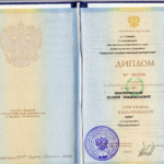 Диплом - Лисовская Полина Владимировна