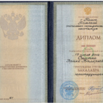 Диплом - Снитко Эрика Валерьевна