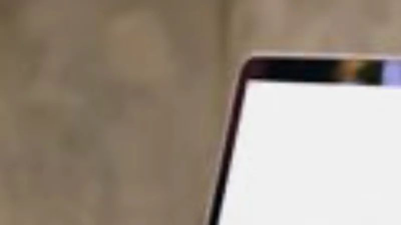 Адвокат Казберова Людмила Викторовна объясняет: Взыскание алиментов