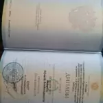 Диплом Фёдоров Э.В. - Фёдоров Эдуард Владиславович