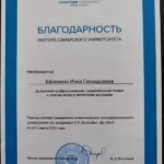 Сертификат 2 - Шевченко Инна Геннадьевна