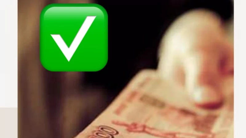 Юрист Решетникова Анна Юрьевна объясняет: О том, как в суде добиться назначения пенсии