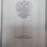 3 - Недбай Виталия Сергеевна