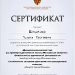 Сертификат 4 - Шишкова Полина Сергеевна