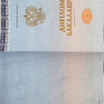 Диплом 2 - Оголь Елизавета Геннадьевна