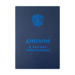 Диплом 3 - Оголь Елизавета Геннадьевна