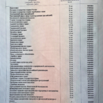 Диплом 4 - Оголь Елизавета Геннадьевна