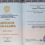 Диплом 6 - Оголь Елизавета Геннадьевна