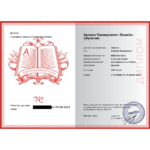 Диплом: НОЧУ ОДПО «Актион-МЦФЭР», 2023 — Жуйков А.А.