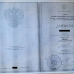 Диплом: Омский экономический институт, 2009 — Жуйков А.А.