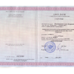 Диплом Воронкова Е.В. - Воронкова Елена Валерьевна