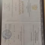 Диплом бакалавра - Пономаренко Егор Александрович