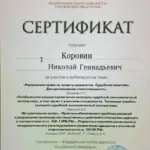 Сертификат 7 - Коровин Николай Геннадьевич