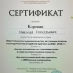 Сертификат 9 - Коровин Николай Геннадьевич