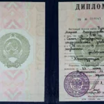 Диплом - Кукушкина Марина Владимировна