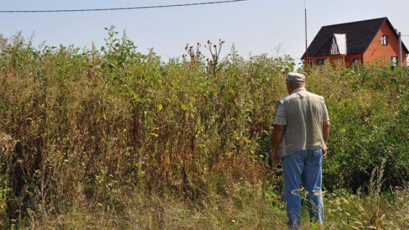 Юрист Степанова Анна Вячеславовна объясняет: Правительство утвердило критерии из-за которых могут отнять земельный участок.