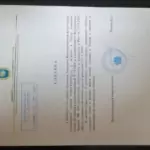 Справка об Адвокате 2020 - Воронцов Александр Вячеславович