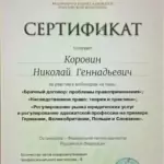 Сертификат 13 - Коровин Николай Геннадьевич