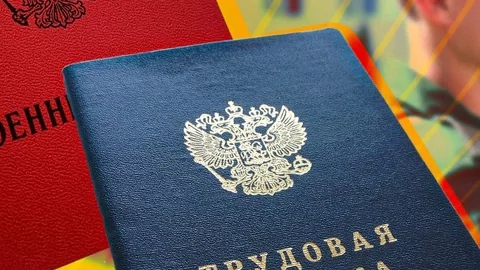 Трудовые гарантии участникам СВО.