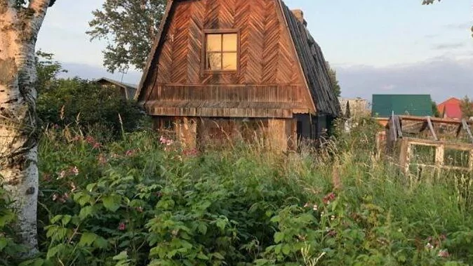 Юрист Савинкина Марина Васильевна объясняет: Признаки неиспользования земельных участков из состава земель населенных пунктов, садовых земельных