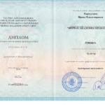 Диплом аудитора - Бородулина Ирина Владимировна