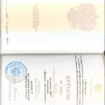 Диплом - Земченко Денис Николаевич