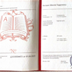 Кадровое дело - Новородонова Анна Геннадьевна