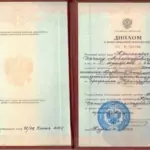 Диплом Юрфак - Красноярцев Денис Александрович