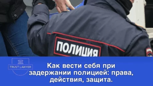 Как вести себя при задержании полицией: права, действия, защита.