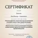 Сертификат 8 - Базель Владимир Сергеевич