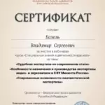 Сертификат 9 - Базель Владимир Сергеевич