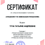 Сертификат Туча Т.А - Туча Татьяна Андреевна