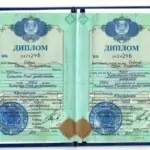Диплом - Егорина Ирина Владимировна