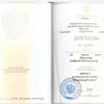 Диплом - Шачнев Андрей Евгеньевич