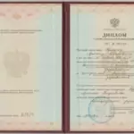 Диплом - Трякин Артём Петрович
