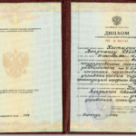 Диплом: Алтайский государственный технический университет им. И.И. Ползунова, 2004 — Костырин В.И.