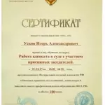 Сертификат 2 - Усков Игорь Александрович